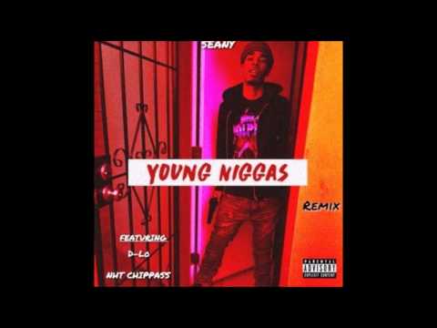 Seany ft  D Lo & Chippass   Young Niggas Remix