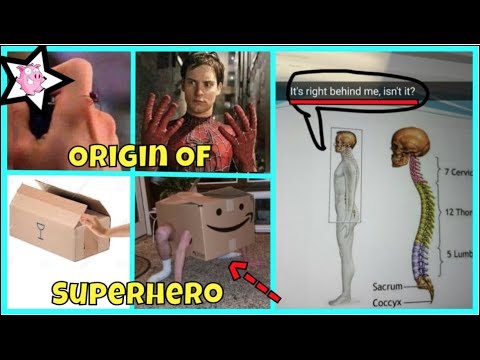 download lagu mp3 mp4 Funny Dumb Pictures, download lagu Funny Dumb Pictures gratis, unduh video klip Funny Dumb Pictures