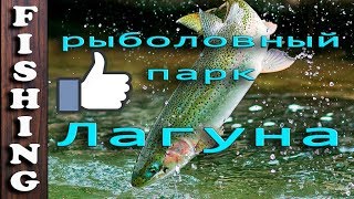Платная рыбалка в домодедово лагуна