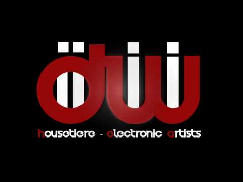 Jamming Right a-Round - Dj Diiwii [HOUSETIERE]