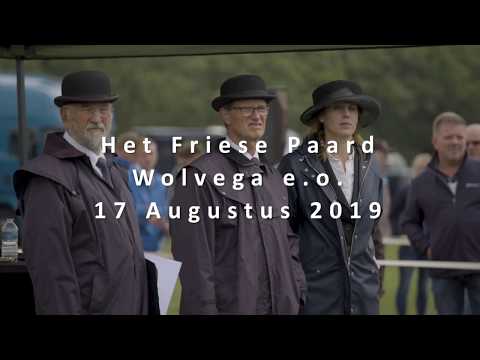 Compilatie fokdag Het Friese Paard Wolvega e.o.