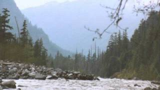 Wind Is Blowing Stars