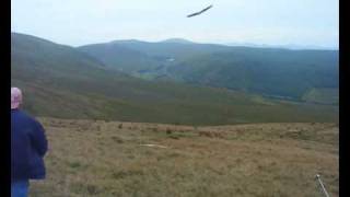preview picture of video 'RC gliding at New Cumnock'