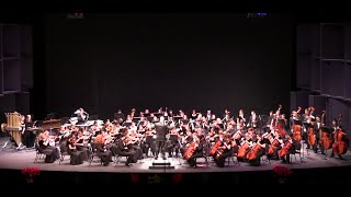 LVYO Youth Philharmonic 2014  "Carol of the Bells" by Carol M Leontovich Arr by Richard Hayman