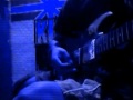 Amour-Rammstein |m( R+ 