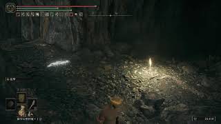 【参加型ELDEN RING】#9 追加コンテンツ？しらね？