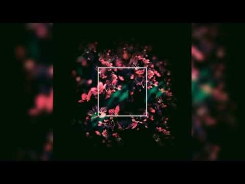 Jan Amit - Heartflies