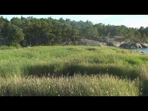 Papa Ricky  -  Jah RasTafar I  -  Official Video