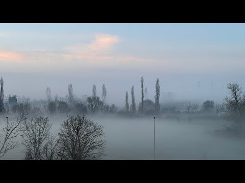 Nous sommes condamnés à nous améliorer