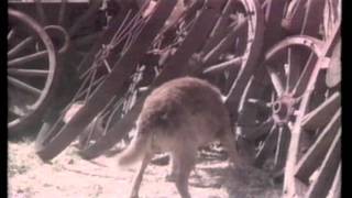 Steve Winwood-Don&#39;t You Know What The Night Can do?.mp4