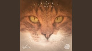 Ecstasy (Wait and See Mix)