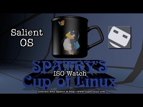 ISO Watch: Salient OS
