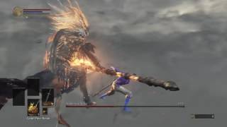 SL1 No rolling/blocking/parrying Nameless King