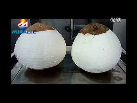 download lagu mp3 mp4 Coconut Milk Production Machines, download lagu Coconut Milk Production Machines gratis, unduh video klip Coconut Milk Production Machines