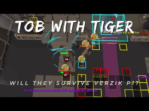 Learn ToB with Tiger: 20 KC Mentor Raid [ToB Guide]