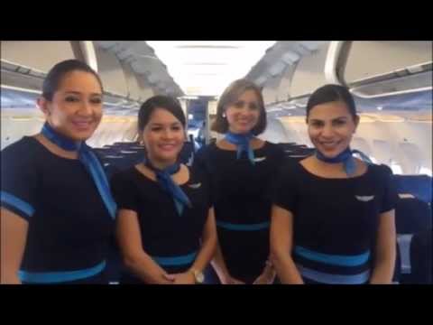 veca airline Movie HOME example