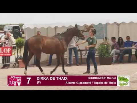 Lot 7 - Dirka de Thaix - F13 Alberto Giacometti / Topeka de Thaix