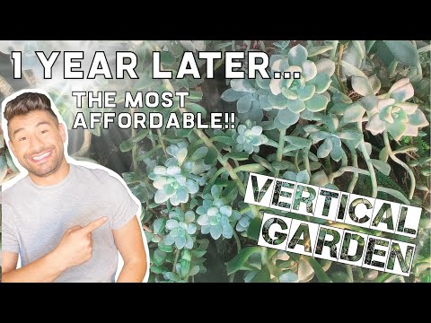 1 YEAR LATER The Most Affordable Vertical Garden  - Ikea Hack