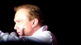 David Cassidy Live John Burns Park 8/8/15