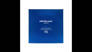 Pale Blue Eyes - Reason video