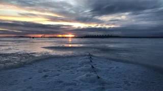 Ссылка