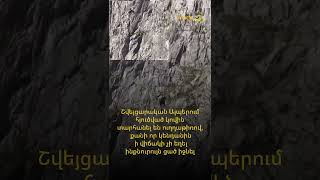 Շվեյցարական Ալպերում հյուծված կովին տարհանել են ուղղաթիռով