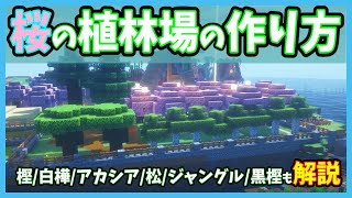 【Minecraft】初心者必見！！桜の植林場の作り方を解説！！【Java版/統合版ver1.20】