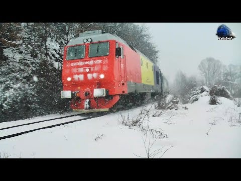 Trenuri in Zapădă/Trains in Snow in Defileul Crișului Repede Canyon - 20 January 2019
