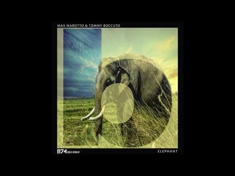 MAX MAROTTO & TOMMY BOCCUTO - ELEPHANT (TRIBE MIX) [B74 Records]