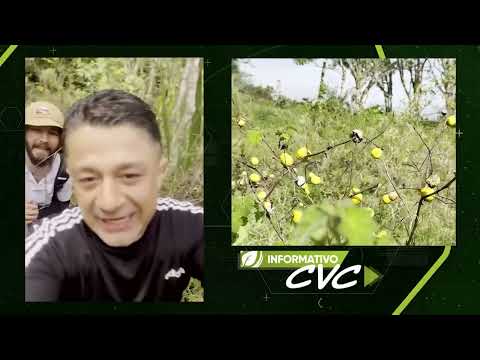 Cascada El Salto en El Dovio Valle del Cauca 