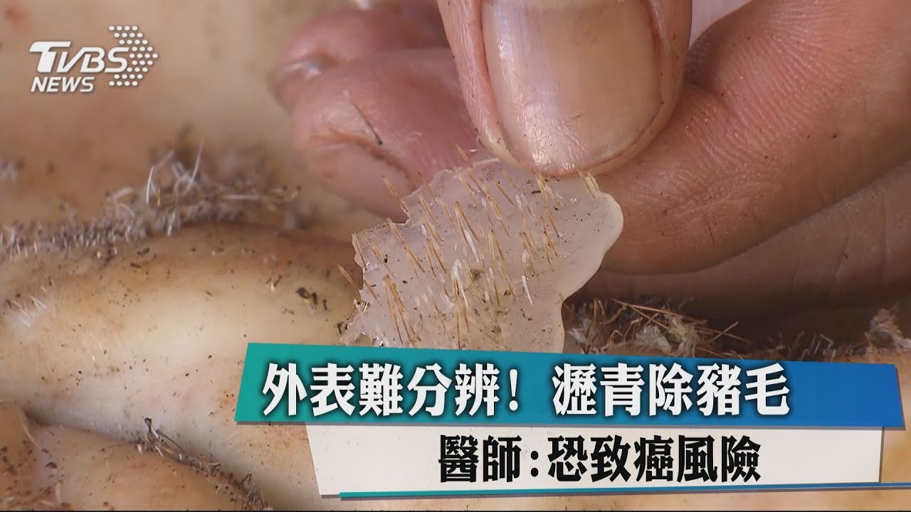 外表難分辨!瀝青除豬毛 醫師:恐致癌風險