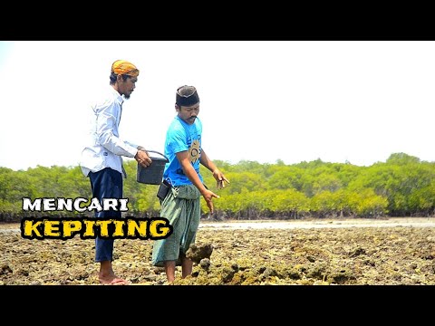 madura-lucumencari-kepiting