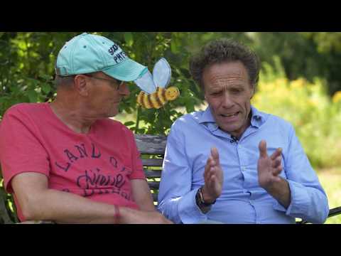 beeMOOC - Wesensgemäße Bienenhaltung