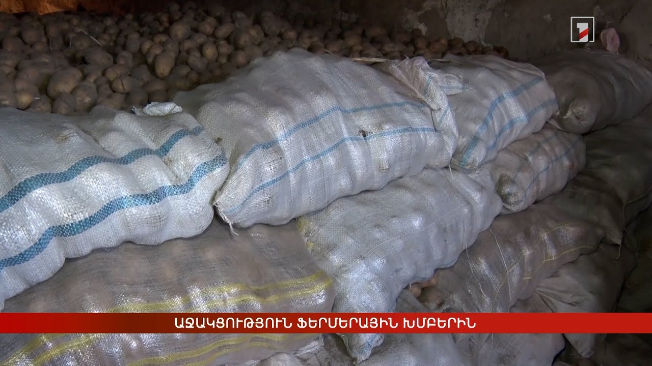 Աջակցություն ֆերմերային խմբերին