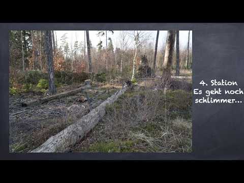 Station04 - Passionsgang im Moor