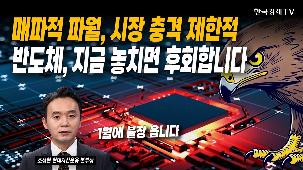 매파적 파월, 시장 충격 제한적! 반도체, 지금 놓치면 후회합니다 | 조상현 현대자산운용 본부장 | #금리 #?