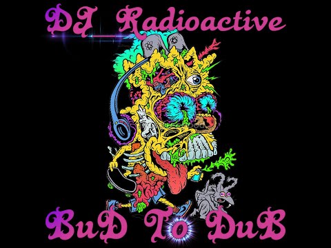 DJ_Radioactive - BuD to DuB