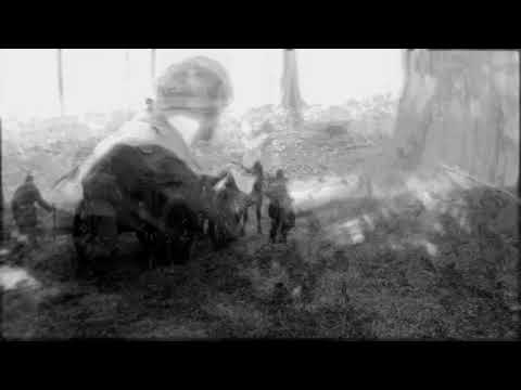 :Traum'er Leben: - Verlorenes Heer (Darkwood-Cover)