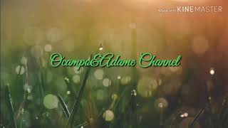 Pesado - Lastima Me Das (Letra)