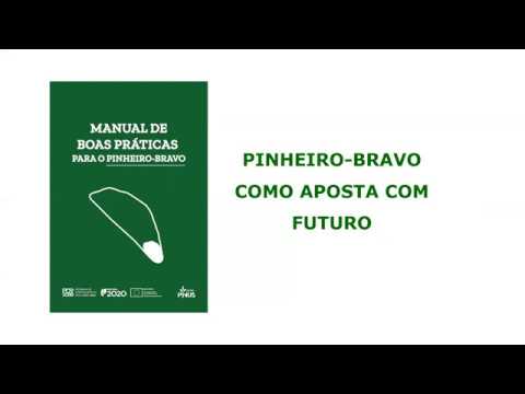 Manual de Boas Práticas para o Pinheiro-bravo - Apresentação online