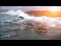 Хиллсонг Океаны клип 