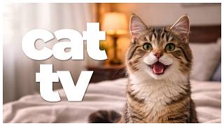 6 HOURS Cat TV 🐱 Birds & Underwater Scenes with Relaxing Music for Cats