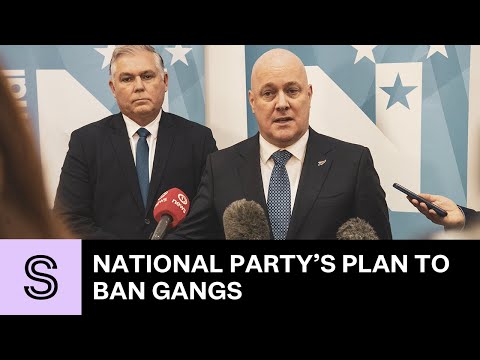 How National's Christopher Luxon plans to tackle New Zealand's gang problem | Stuff.co.nz