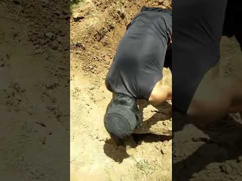 MB go gf buddy's home go to the same