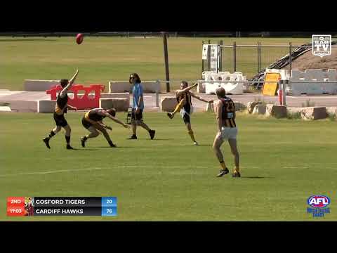 2020 AFLHCC Shield Round 12 Highlights - Gosford Tigers vs Cardiff Hawks