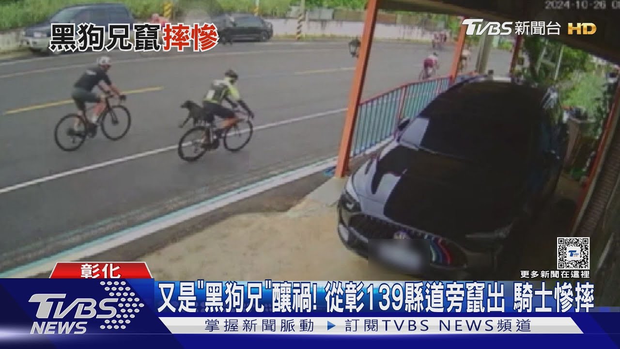 彰139縣道「山頂黑狗兄」竄出!騎士撞上慘摔 單車斷3截