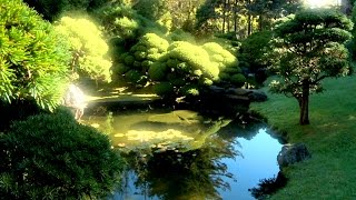 Zen Garden - Infinite Bliss - Nature Sounds Only- (No Music)