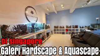 Galeri Hardscape & Aquascape pakne kenzho x miniwolds disingapore