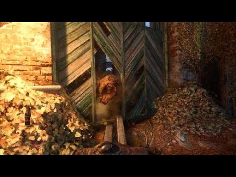 THE FOREST KING | Metro Exodus | Part 17