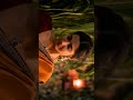 Brundavanive GamGamGanesha AnandDeverakonda Pragati Srivastava Shortvideo Shorts Telugusongs